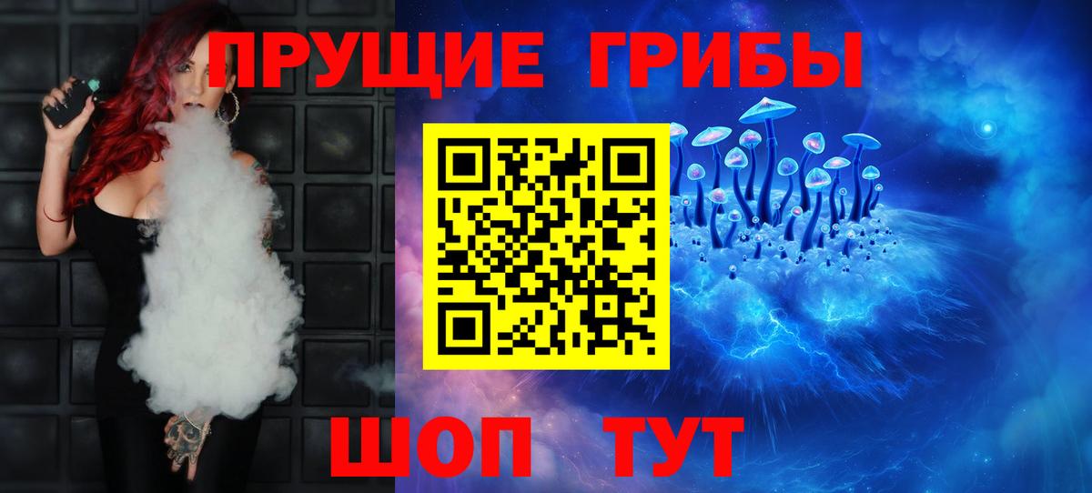 Ишим  Псилоцибиновые грибы Psilocybine cubensis  Вход с VPN 